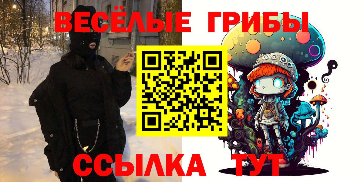 Псилоцибиновые грибы Psilocybe Фролово