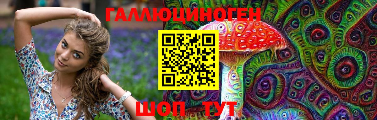 сколько стоит  Псилоцибиновые грибы ЛСД  Вход с VPN  Фролово  Псилоцибиновые грибы Psilocybe 